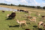 resIMG_20131013_152210_0635.JPG